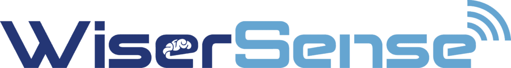 660faa926aba95f3c440e7d9 WISERSENSE LOGO